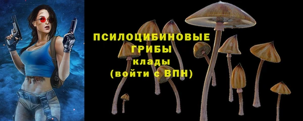экстази Богданович