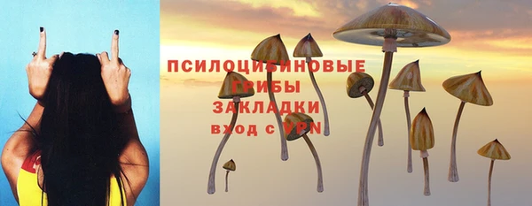 экстази Богданович