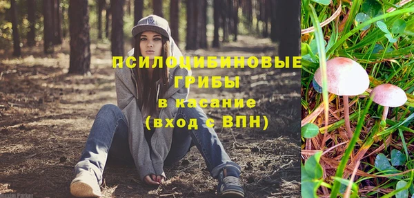 прущая мука Богородицк