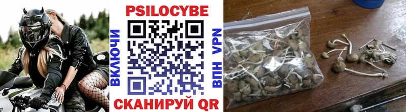 Псилоцибиновые грибы MAGIC MUSHROOMS  Купить  Сокол 