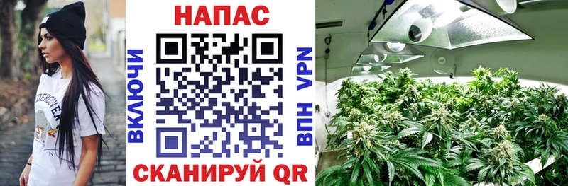 Марихуана OG Kush  Купить закладки  Сокол 